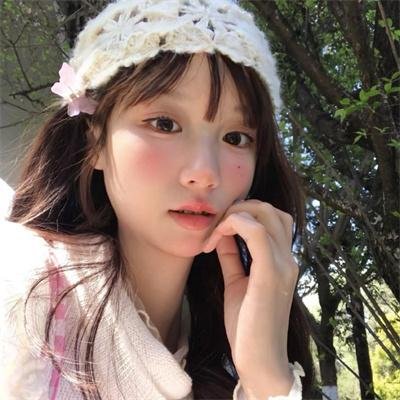 聪明的鸭子